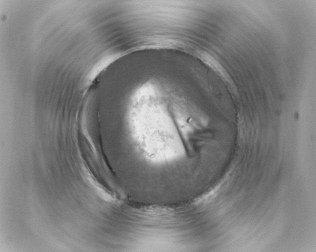 X0000088220842200706051320