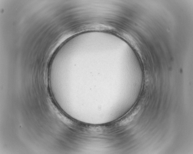 X0000088220843200706051320