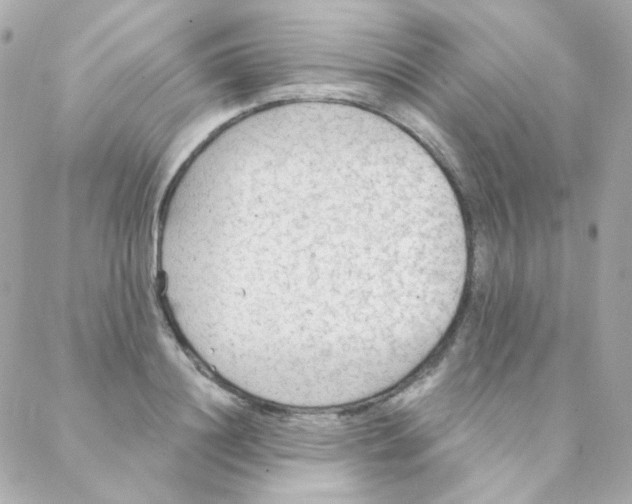 X0000088220844200706051320