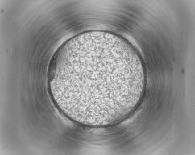 X0000088220845200706051320