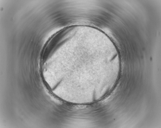 X0000088220846200706051320