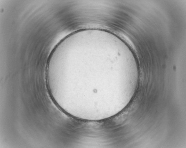 X0000088220847200706051320