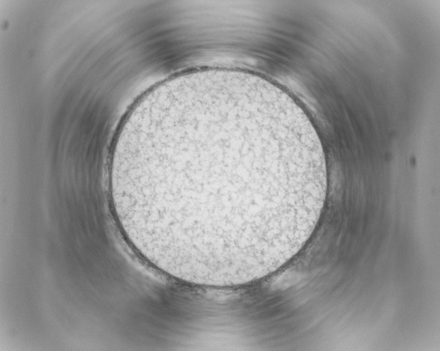 X0000088220848200706051320