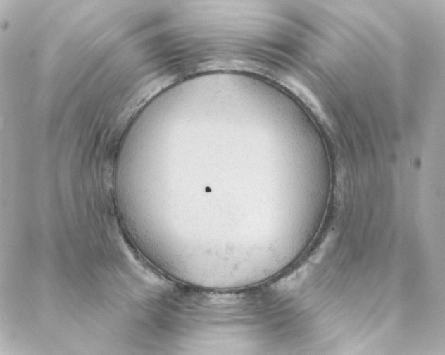 X0000088220849200706051320