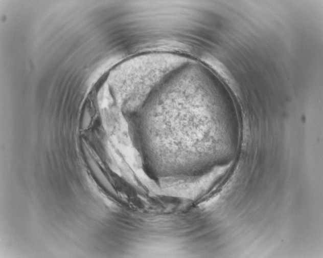 X0000088220850200706051321