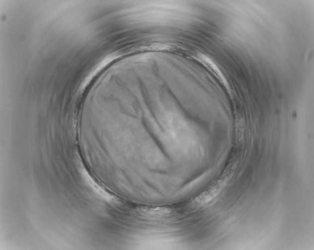 X0000088220851200706051321