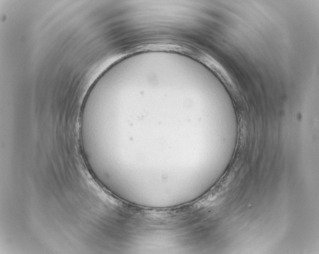 X0000088220852200706051321