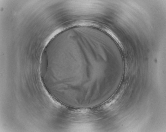 X0000088220853200706051321