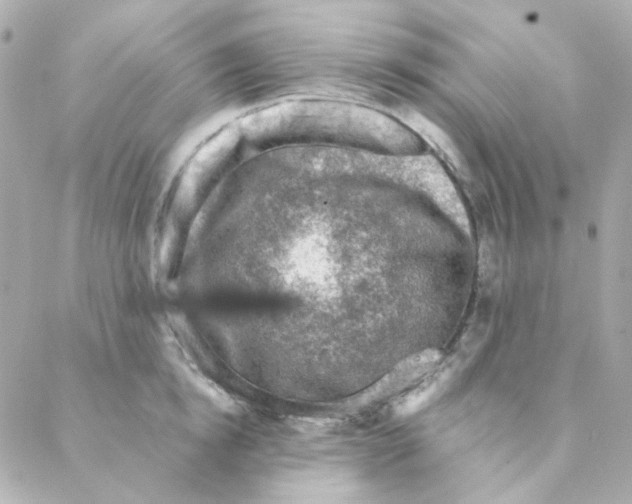 X0000088220854200706051321