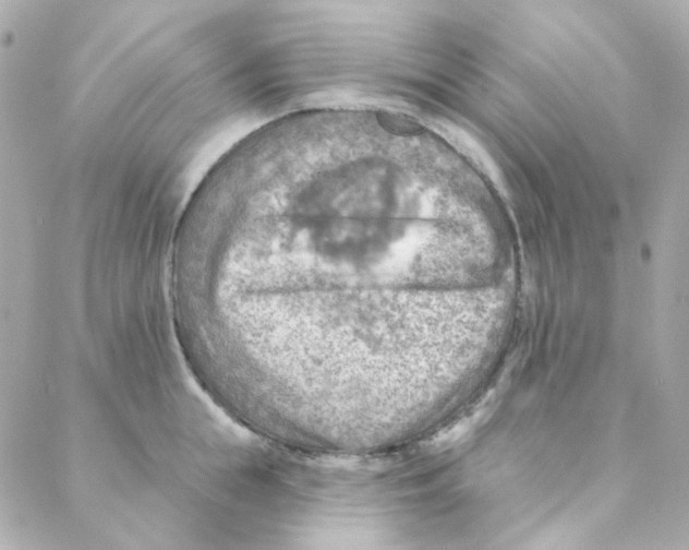 X0000088220855200706051321