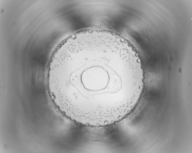 X0000088220856200706051321