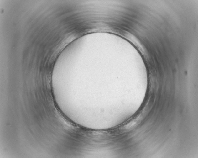 X0000088220857200706051321