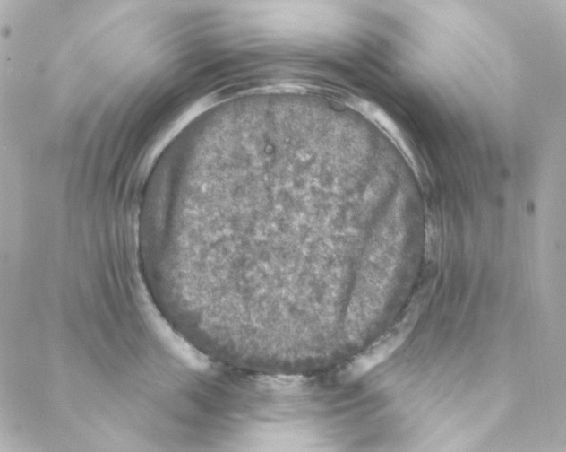 X0000088220859200706051321