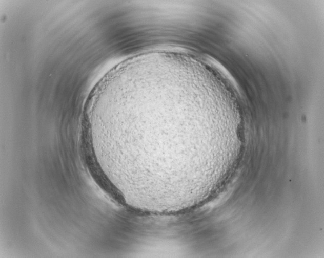 X0000088220860200706051321