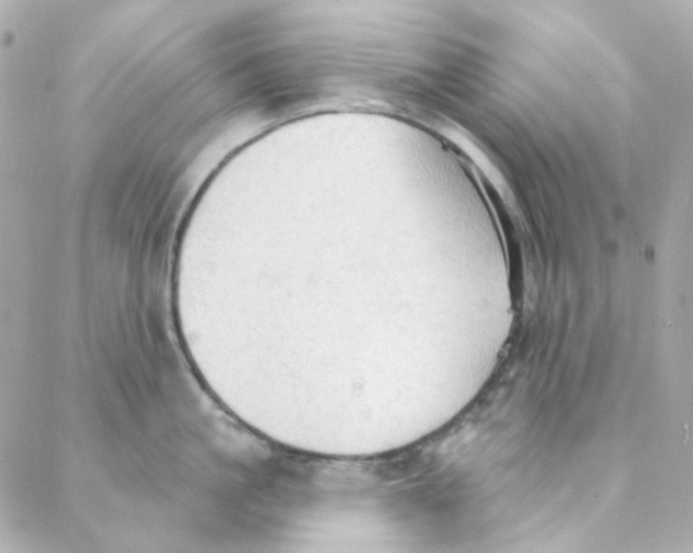 X0000088220861200706051321