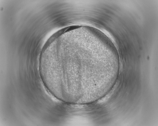 X0000088220862200706051321