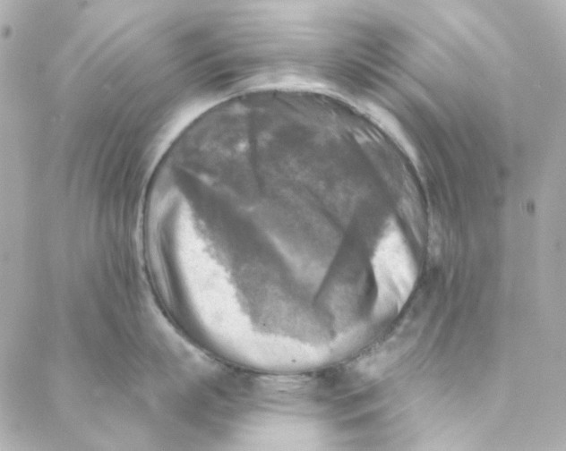 X0000088220863200706051321