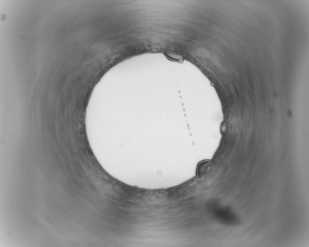 X0000088220865200706051320