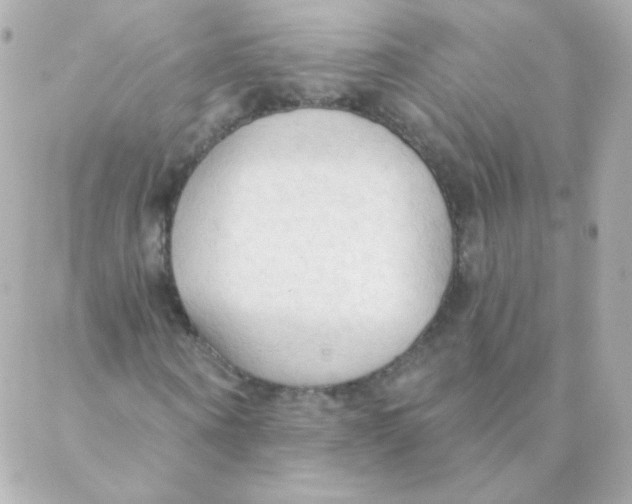 X0000088220866200706051320