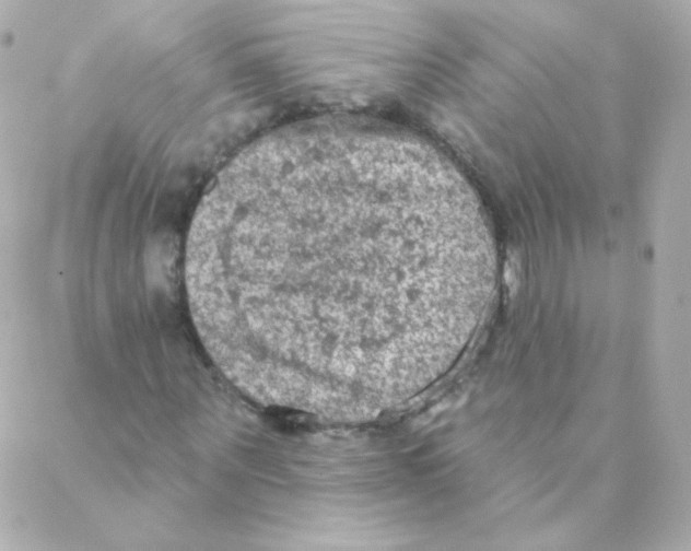 X0000088220867200706051320