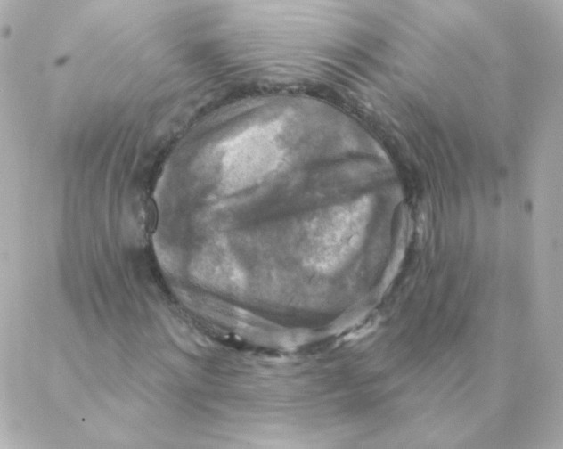 X0000088220868200706051320