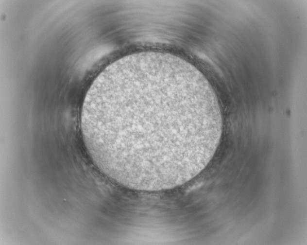 X0000088220870200706051320