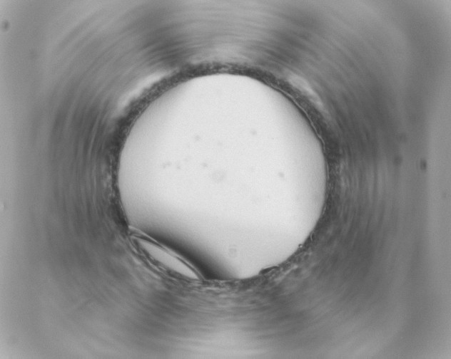 X0000088220872200706051320