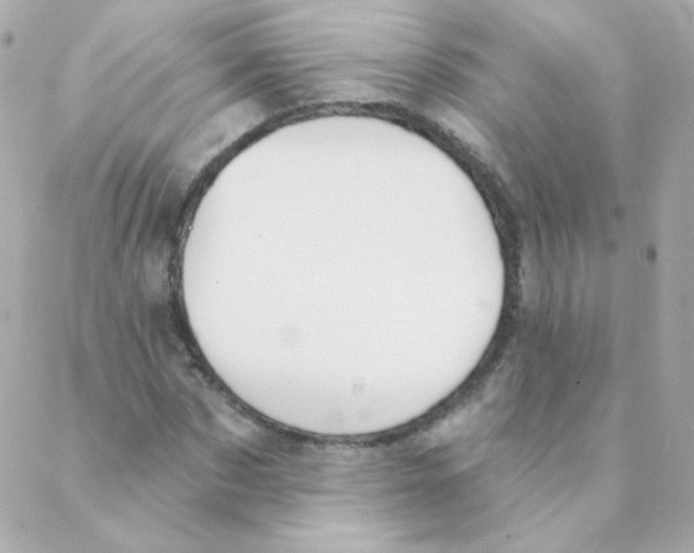 X0000088220873200706051320