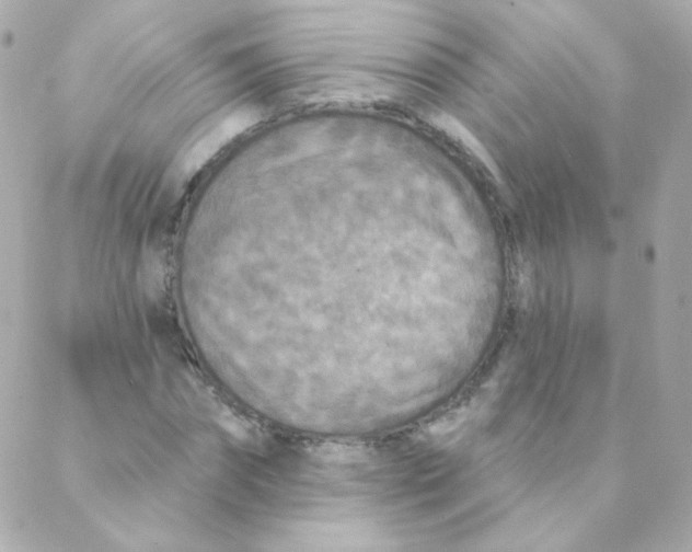 X0000088220874200706051320