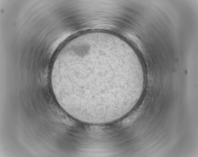 X0000088220875200706051320