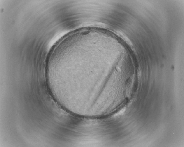 X0000088220877200706051320