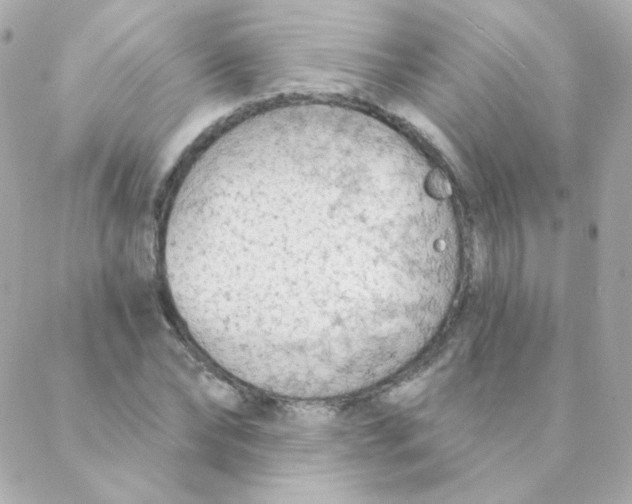 X0000088220878200706051320