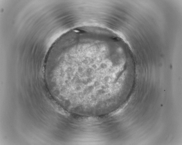 X0000088220879200706051320