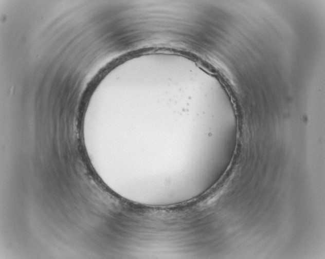 X0000088220880200706051320