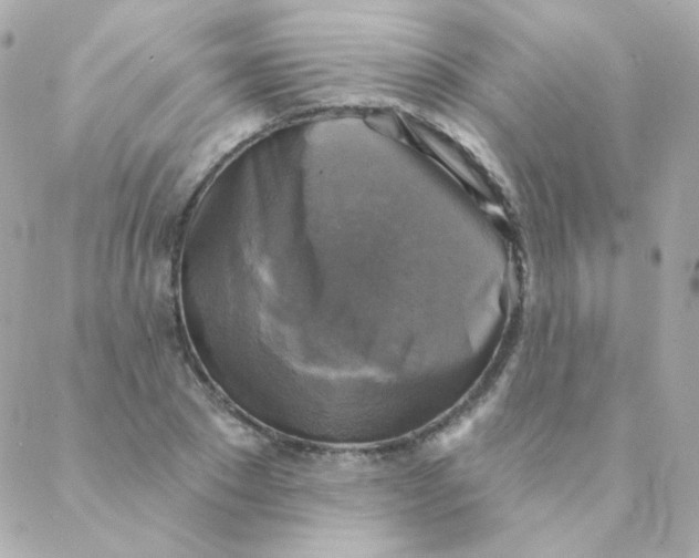 X0000088220881200706051320