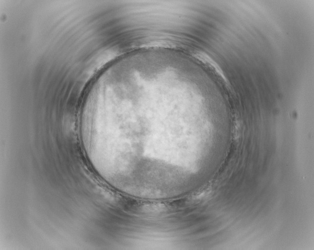 X0000088220882200706051320