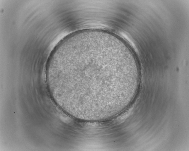 X0000088220883200706051320