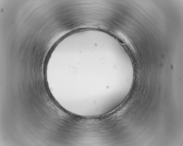 X0000088220884200706051320