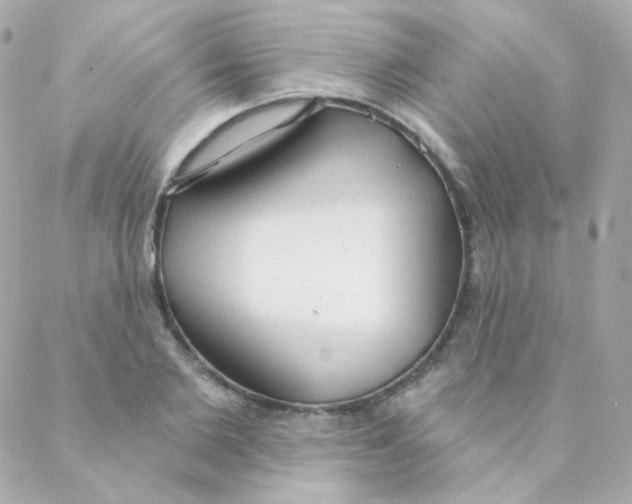 X0000088220885200706051320