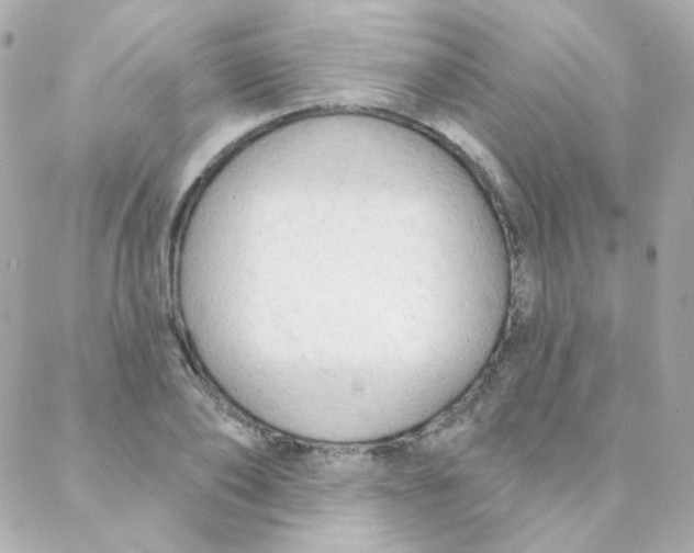 X0000088220886200706051320