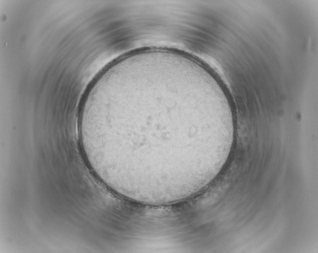 X0000088220887200706051320