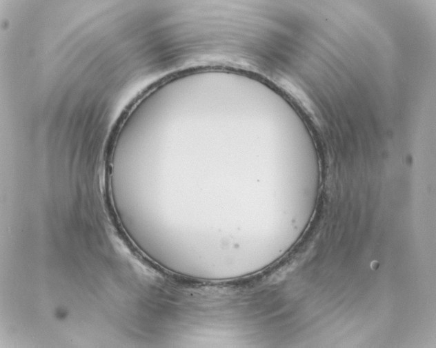 X0000088220888200706051320