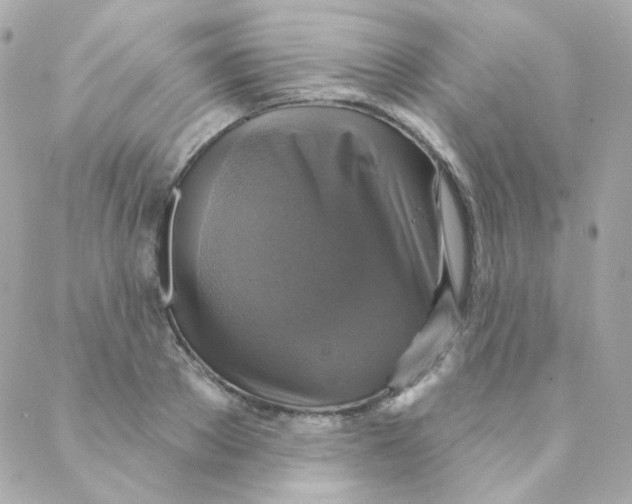 X0000088220889200706051320