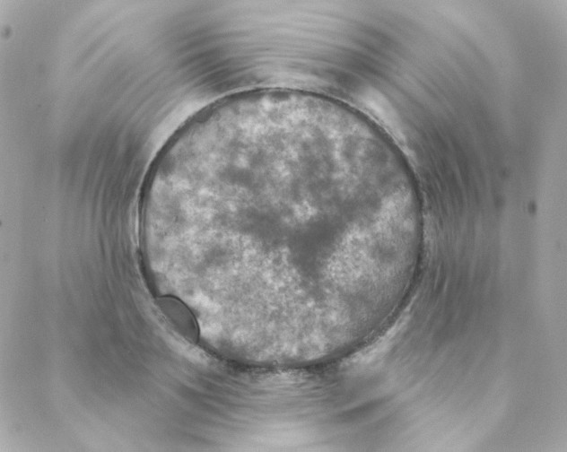 X0000088220891200706051320