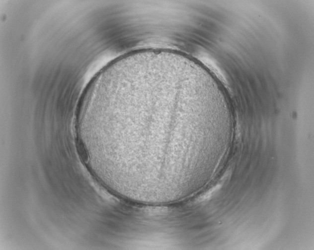 X0000088220893200706051319