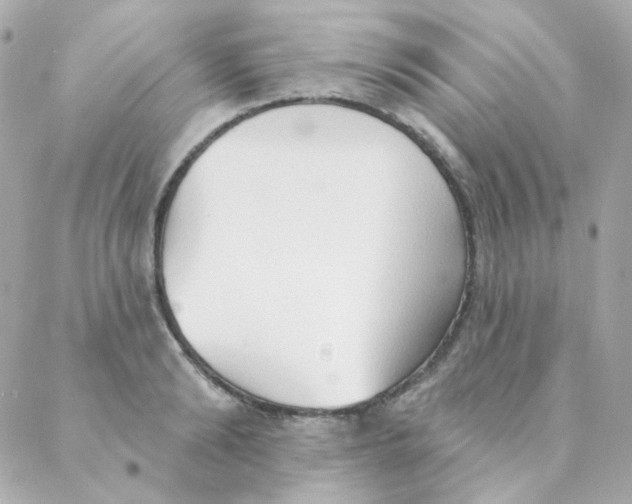 X0000088220894200706051319