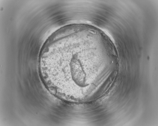 X0000088220895200706051319