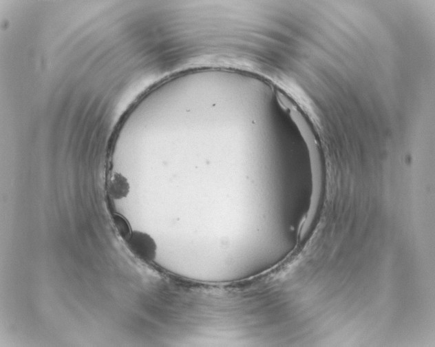 X0000088220896200706051319