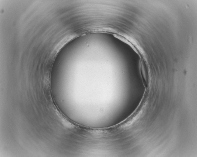 X0000088220897200706051319