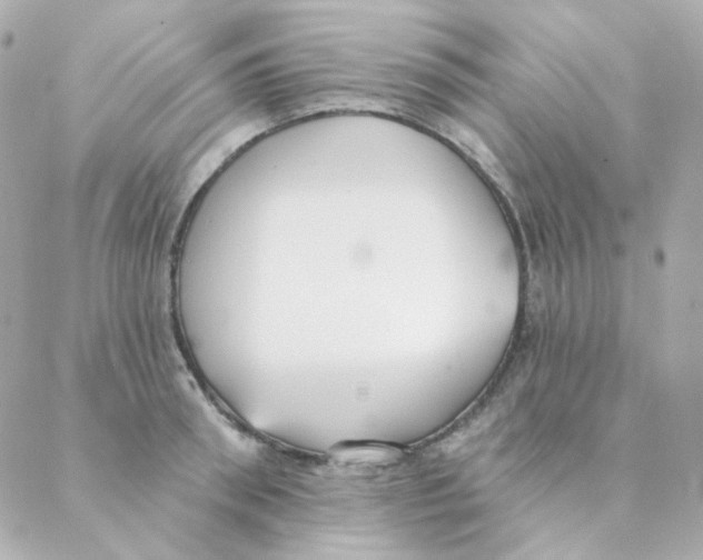 X0000088220898200706051319